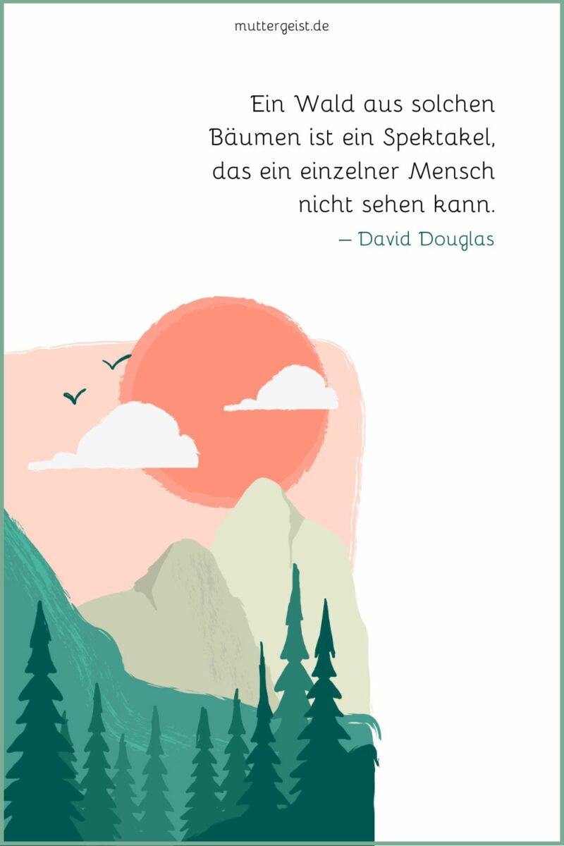 WaldSprüche für inspirierendes Waldgeflüster