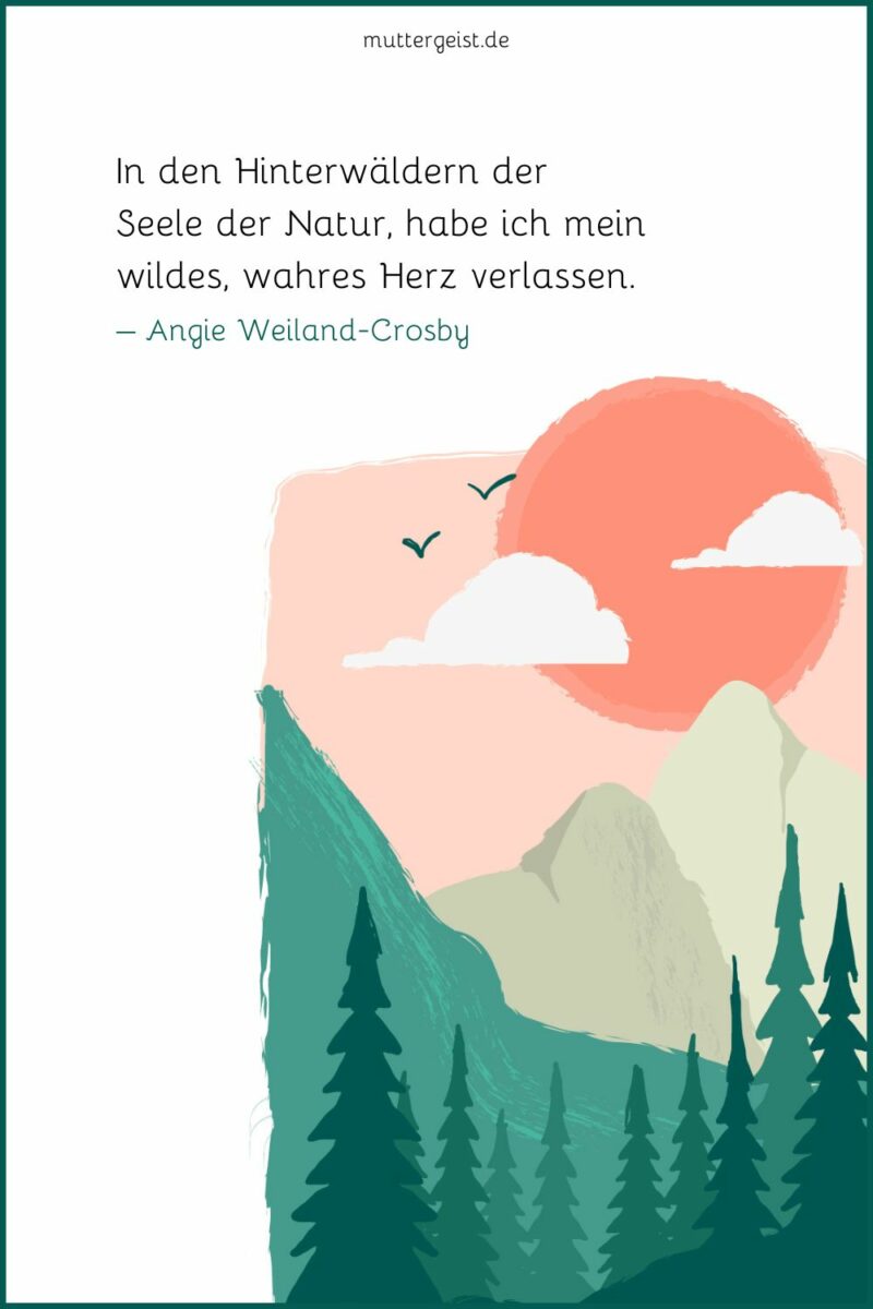Natur Spruche Wald Seele