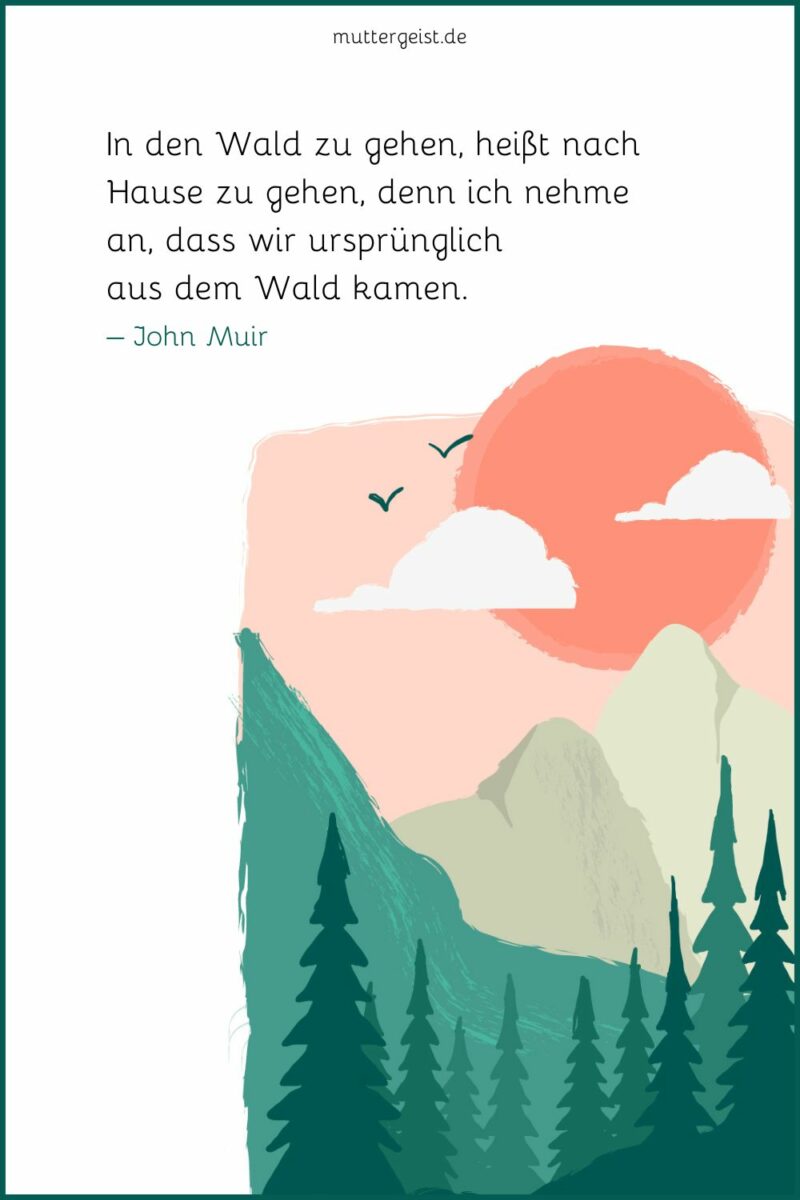 WaldSprüche für inspirierendes Waldgeflüster
