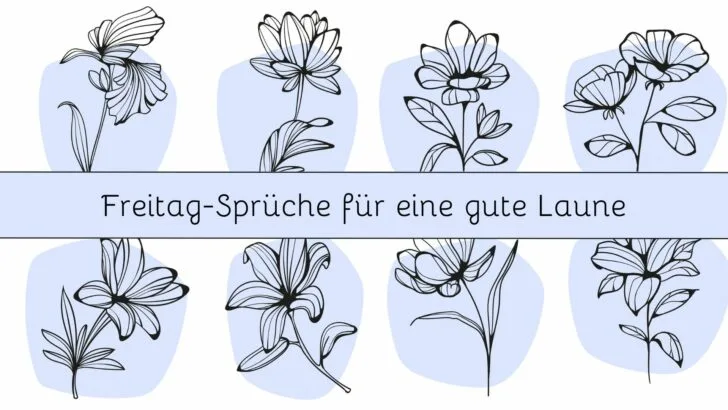 Freitag-Sprüche für eine gute Laune