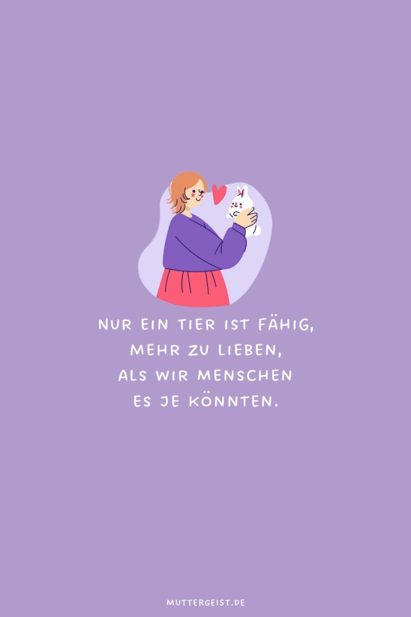 Berührende TierliebeSprüche zum Nachdenken