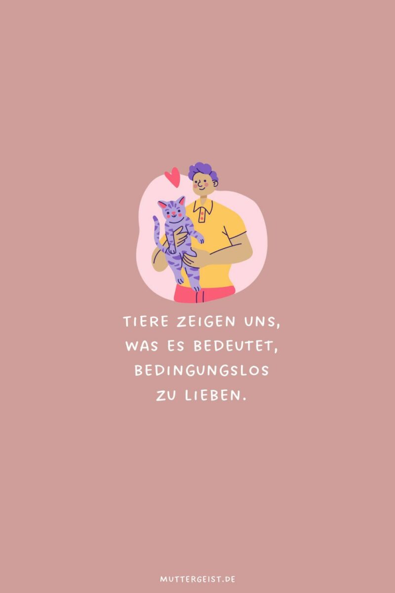 Berührende TierliebeSprüche zum Nachdenken