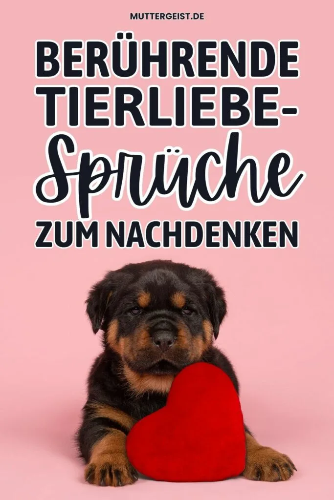 Berührende Tierliebe-Sprüche zum Nachdenken-Pinterest