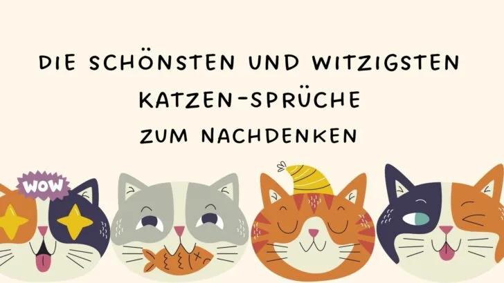 Die schönsten und witzigsten Katzen-Sprüche zum Nachdenken