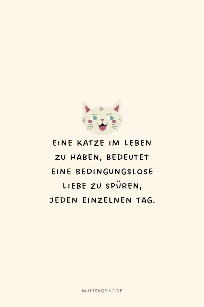 Die schönsten und witzigsten KatzenSprüche zum Nachdenken