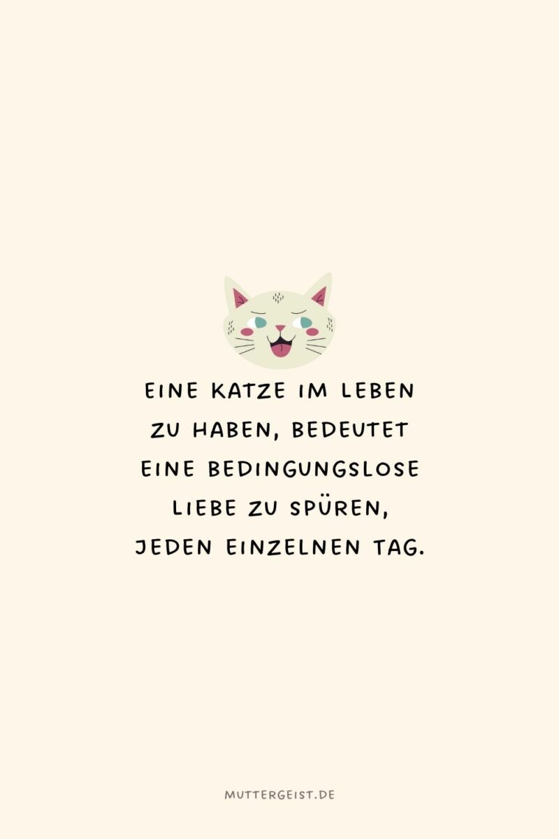 Wunderschne Weisheiten Katzen Sprche Zum Nachdenken Bild