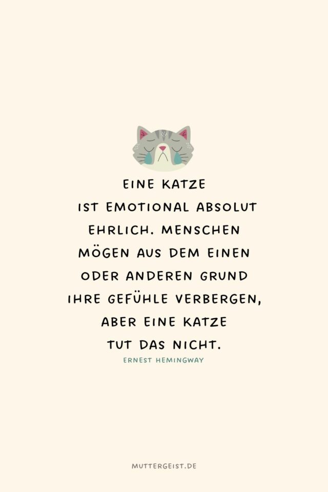 Die schönsten und witzigsten KatzenSprüche zum Nachdenken