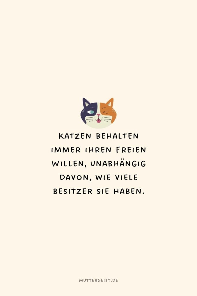 Die schönsten und witzigsten KatzenSprüche zum Nachdenken